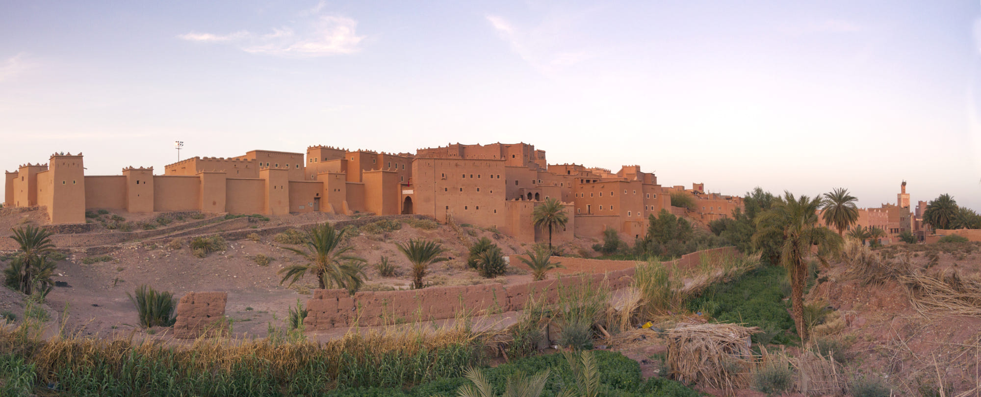Des oasis au cœur